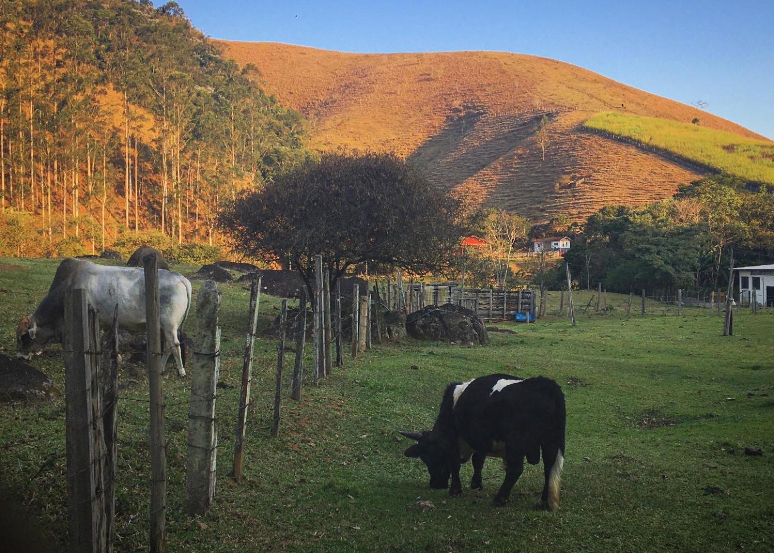 Chalet Refugios Na Mantiqueira Sao Francisco Xavier
